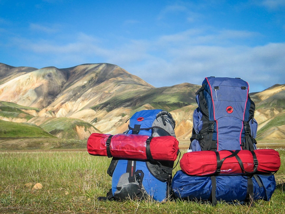 Sacs à dos de randonnée posés sur l'herbe avec vue sur les montagnes