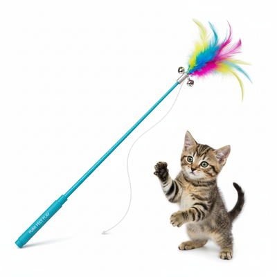Canne à pêche interactive à plumes pour chat