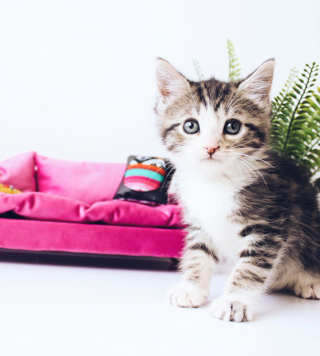 Griffoir poteau sisal avec plateforme pour chat