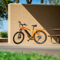 Vélo Électrique Pliant Batterie Amovible