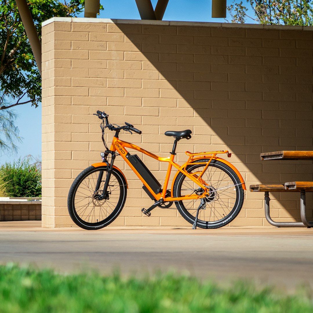 Vélo Électrique Pliant Batterie Amovible